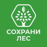 Сохрани Лес icon