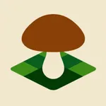 Mushroom Spot - map & sharing icon