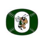 Ostingers Baseball icon