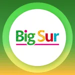 Mi BigSur icon