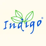 Restaurant indigo icon