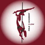 Pole Flow Academy icon