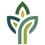 Cypress Green icon