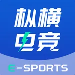枞横电竞 icon