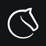 Lichess icon