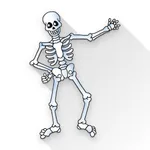 Orthopedic Limbs Anatomy icon