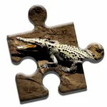 Crocodile Lovers Puzzle icon