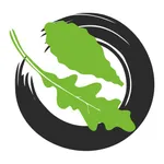 The Salad icon