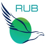 RUB Money Transfer icon