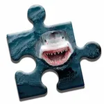 Shark Lovers Puzzle icon