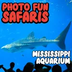 Photo Fun Safaris MS Aquarium icon