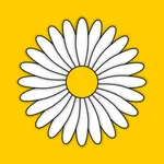 Daisy Days icon