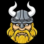 Фитнес VIKONDA icon