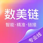 数美链专业线版 icon