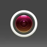 DEPSTECHCAM icon