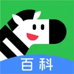 斑马百科 icon