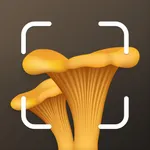 Mushroom Identification ID icon