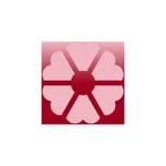 Silent Praise Boutique icon