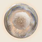 Fermented Reality icon