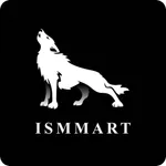 ISMMART E-Commerce icon