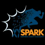 XY Spark icon