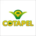 Cotapel icon