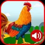 Rooster Sound icon