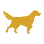 Solid Point Wealth Advisors icon