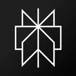 Perplexity - Ask Anything icon