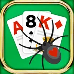 Spider Solitaire Premium 2023 icon