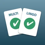 Multi Lingo Vocab Master icon