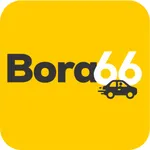 BORA66 icon