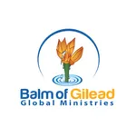 BOG Ministries icon