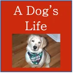 Dog's Life - Double Solitaire icon