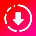 Insta Video & Story Saver icon