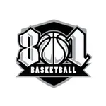 801 Basketball icon