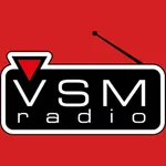 VSM RADIO icon