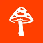 FungiLine: Правильное питание icon