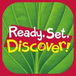 ReadySetDiscover icon