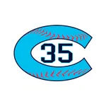 C35 Baseball icon