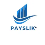 Payslik Wallet icon