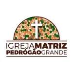 Igreja Matriz de Pedrógão icon