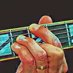 Jazz Guitar Chords by Ear icon