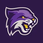 Bethel Wildcats icon