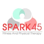 Spark45 Fitness icon