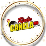 Radio Canela MD 104.7 FM icon