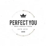 Perfect You Asse icon