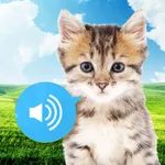 Animal sounds - Images icon