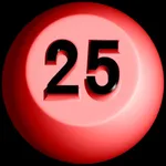 BINGO! 25 icon