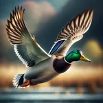 Duck Hunting Calls icon